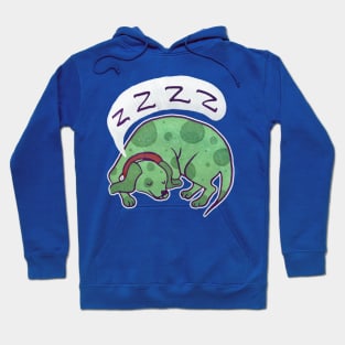 Sleepy Green Puppy Hoodie